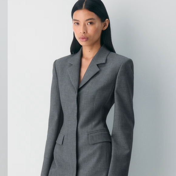 Aritzia Jackets & Blazers - BNWT Aritzia Babaton Autograph Blazer Dress Pinstripe